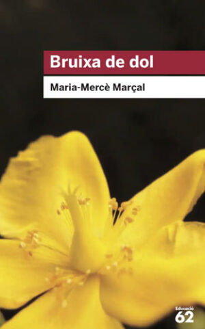 Bruixa de dol - Literatura catalana 2n Batxillerat